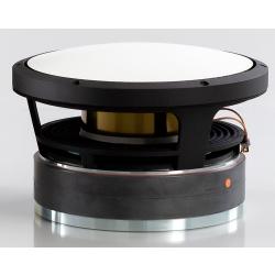 Accuton AS250-8-555 CELL photo